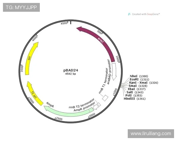 UG体育用户评价与反馈：真实体验助你选择最值得信赖的平台